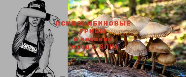 ешки Баксан