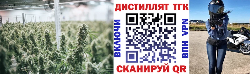 Дистиллят ТГК THC oil  Закаменск 